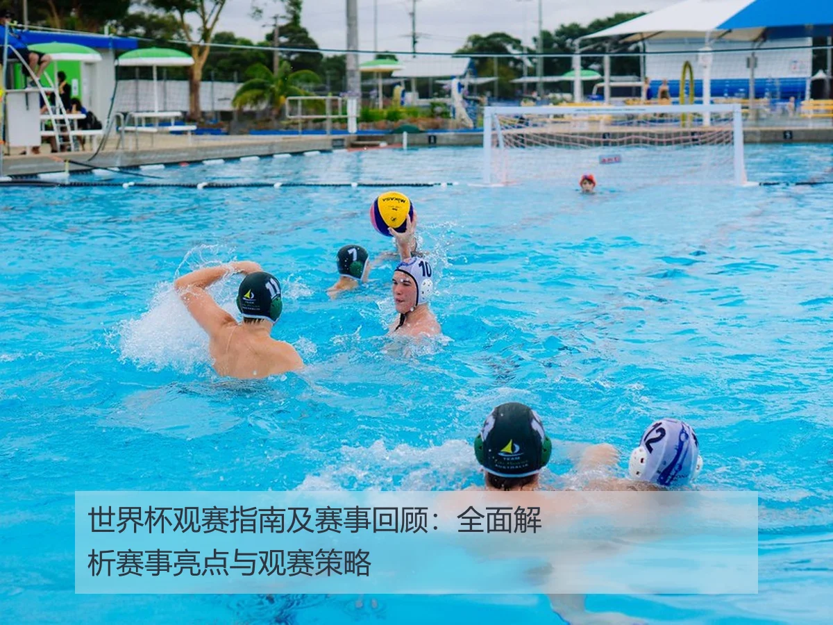世界杯观赛指南及赛事回顾：全面解析赛事亮点与观赛策略